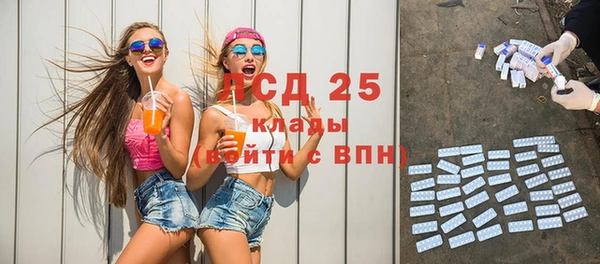 мдпв Болотное