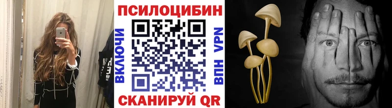 закладки  Калтан  блэк спрут ссылки  Галлюциногенные грибы Psilocybine cubensis 