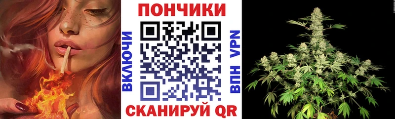 цена   Калтан  Шишки марихуана планчик 